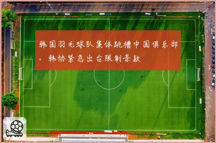 韩国羽毛球队集体跳槽中国俱乐部，韩协紧急出台限制条款